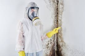 Why You Should Choose Our Mold Remediation Services in Pine Ridge At Crestwood, NJ